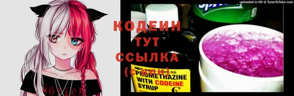 PSILOCYBIN Богданович