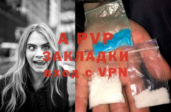 ГАЛЛЮЦИНОГЕННЫЕ ГРИБЫ Богородск
