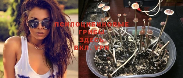 ГАЛЛЮЦИНОГЕННЫЕ ГРИБЫ Богородск