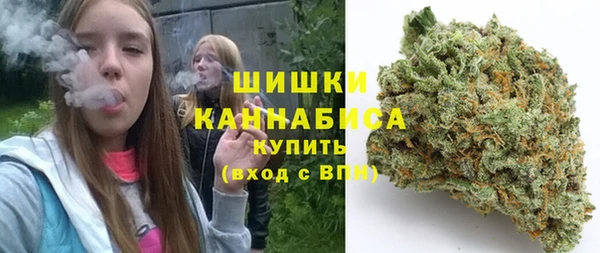 PSILOCYBIN Богданович