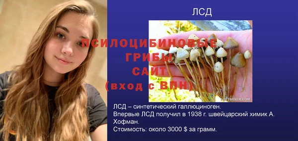 ГАЛЛЮЦИНОГЕННЫЕ ГРИБЫ Богородск